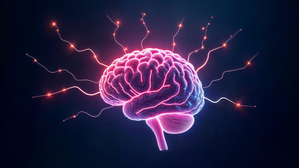Quer melhorar memória e foco naturalmente? Um cérebro energizado mostra o poder de hábitos saudáveis no seu desempenho mental.