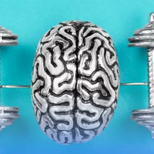 Exercícios físicos para o cérebro: como a atividade física regular fortalece as conexões neurais, melhora a memória e potencializa o desempenho cognitivo.